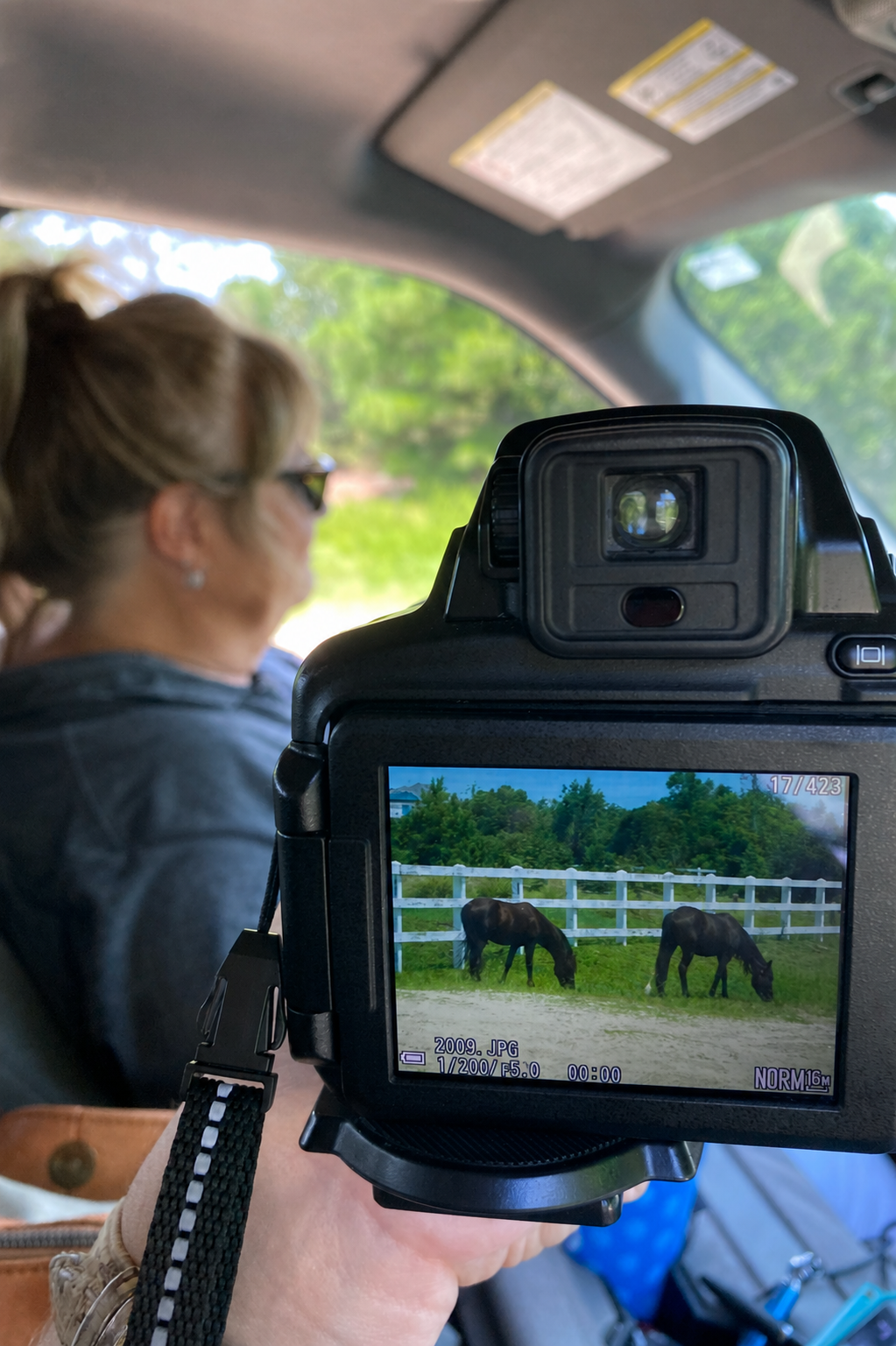 Dana driving Brandi around the Carova 4x4 area
