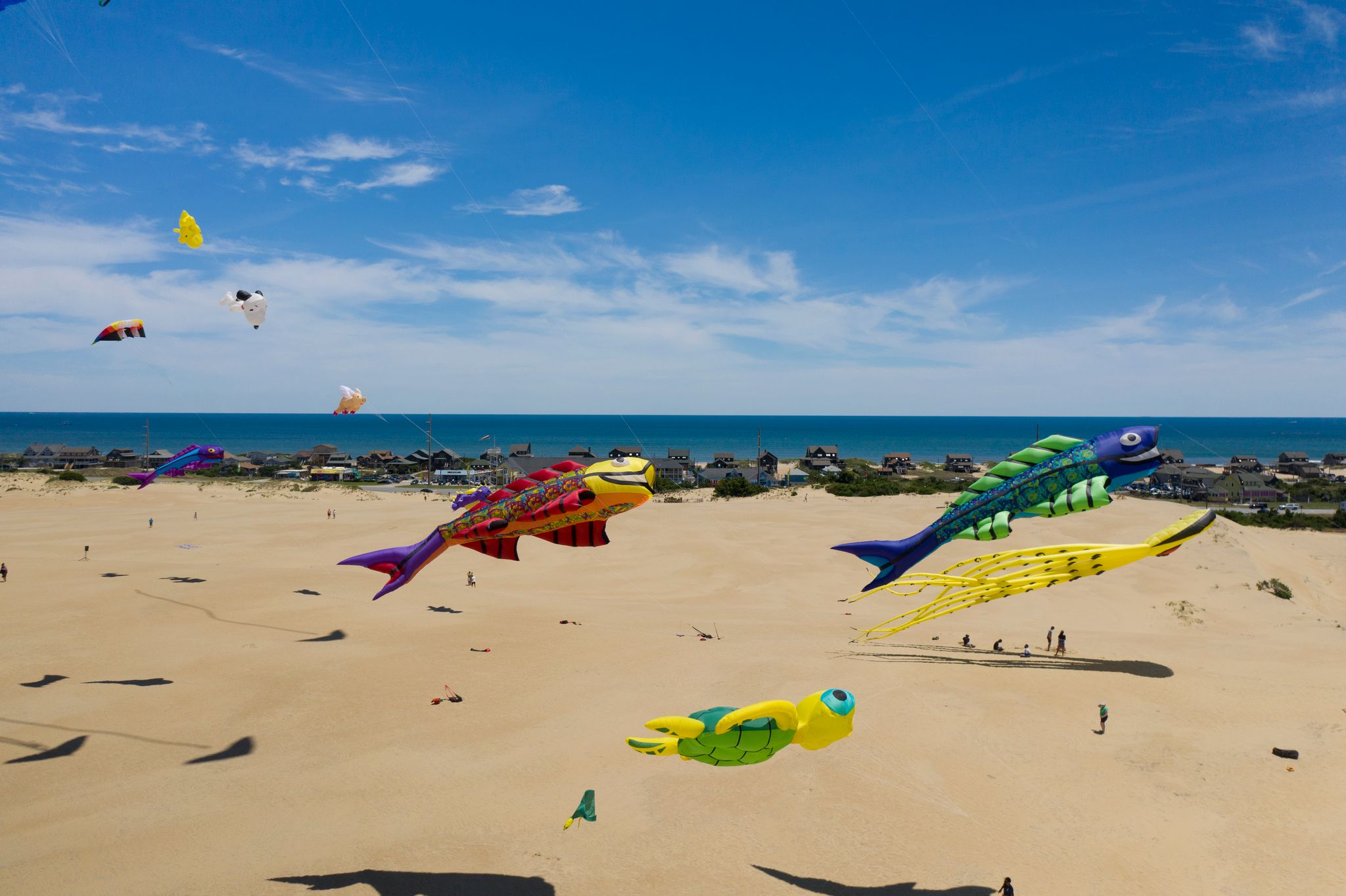 Kite Festival Kite Festival