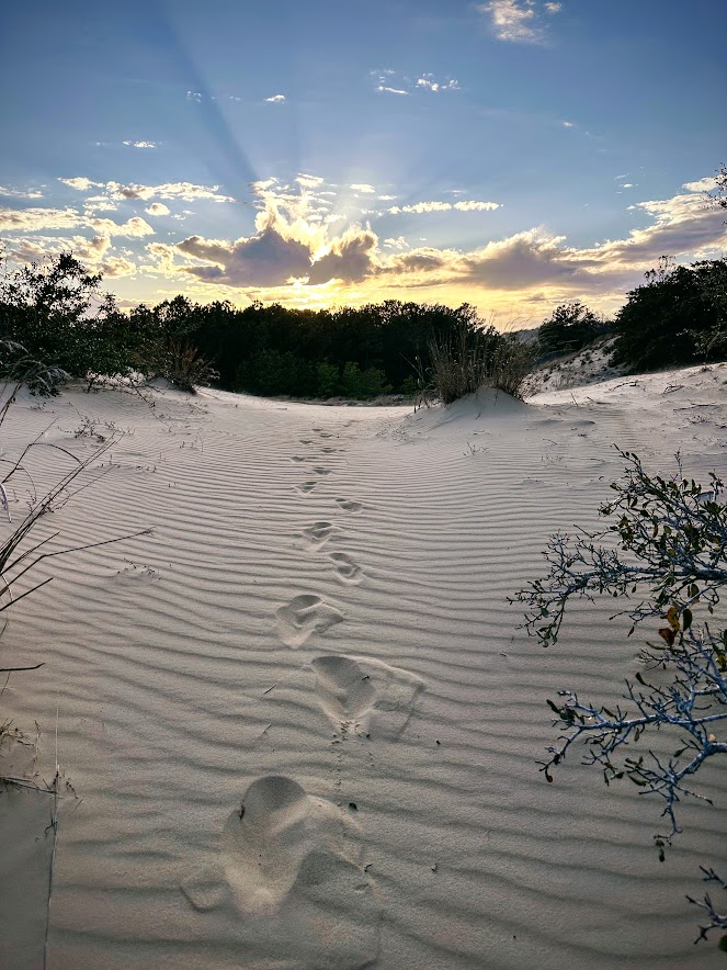 Jockey's Ridge State Park in 2025 as we celebrate 50 years