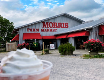 Morris Farm Market October