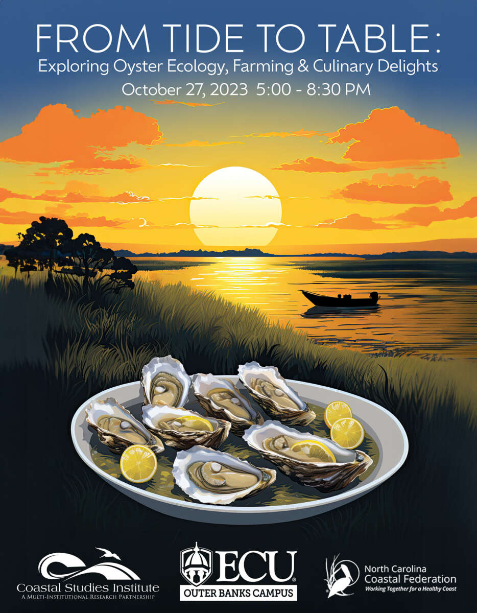 From Tide To Table: Exploring Oyster Ecology, Farming, and Culinary Delights.