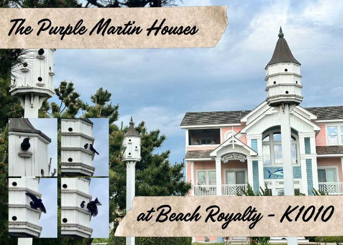 The Purple Martin Houses at Beach Royalty - K1010