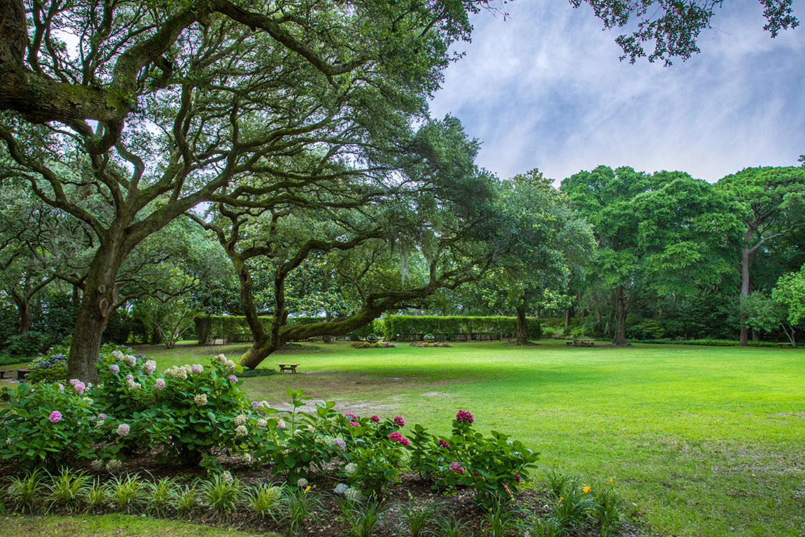 The Elizabethan Gardens