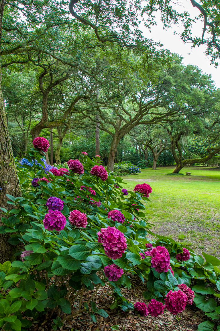 The Elizabethan Gardens