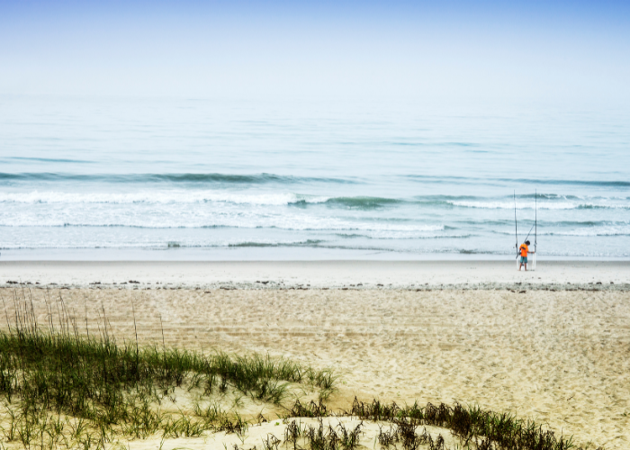 Shore Fishing Outer Banks