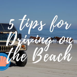 Beach Driving on The Outer Banks