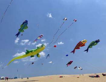 FLY INTO SPRING KITE FESTIVAL 