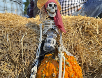 Skully at Grandy Skully at Grandy