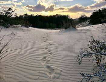 Jockey's Ridge State Park in 2025 as we celebrate 50 years