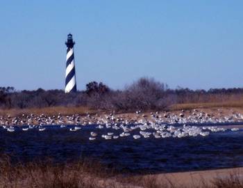 cape hatteras