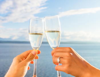 Vineyard Voyage Vineyard Voyage