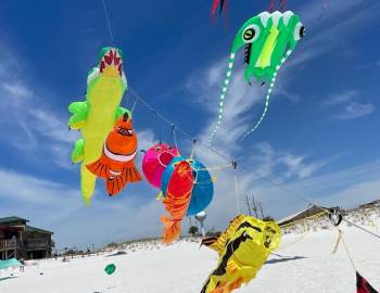 FLY INTO SPRING KITE FESTIVAL 