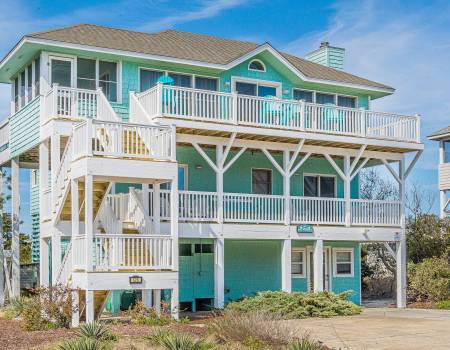 Time to Paws & Reflect