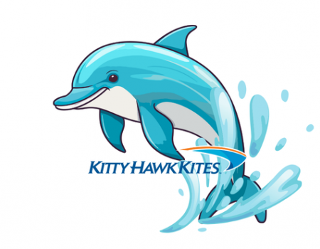 Nags Head Dolphin Watch – Dolphin Tours