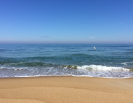 Oceanfront Rentals Oceanfront Rentals