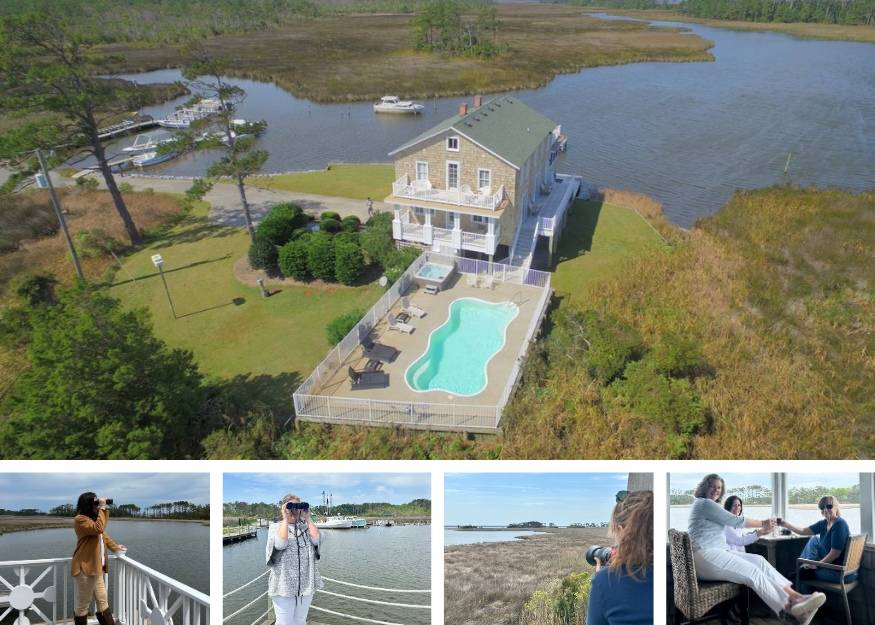 Birdwatching at Sawyers Lodge - Beach Realty Birdwatching at Sawyers Lodge - Beach Realty