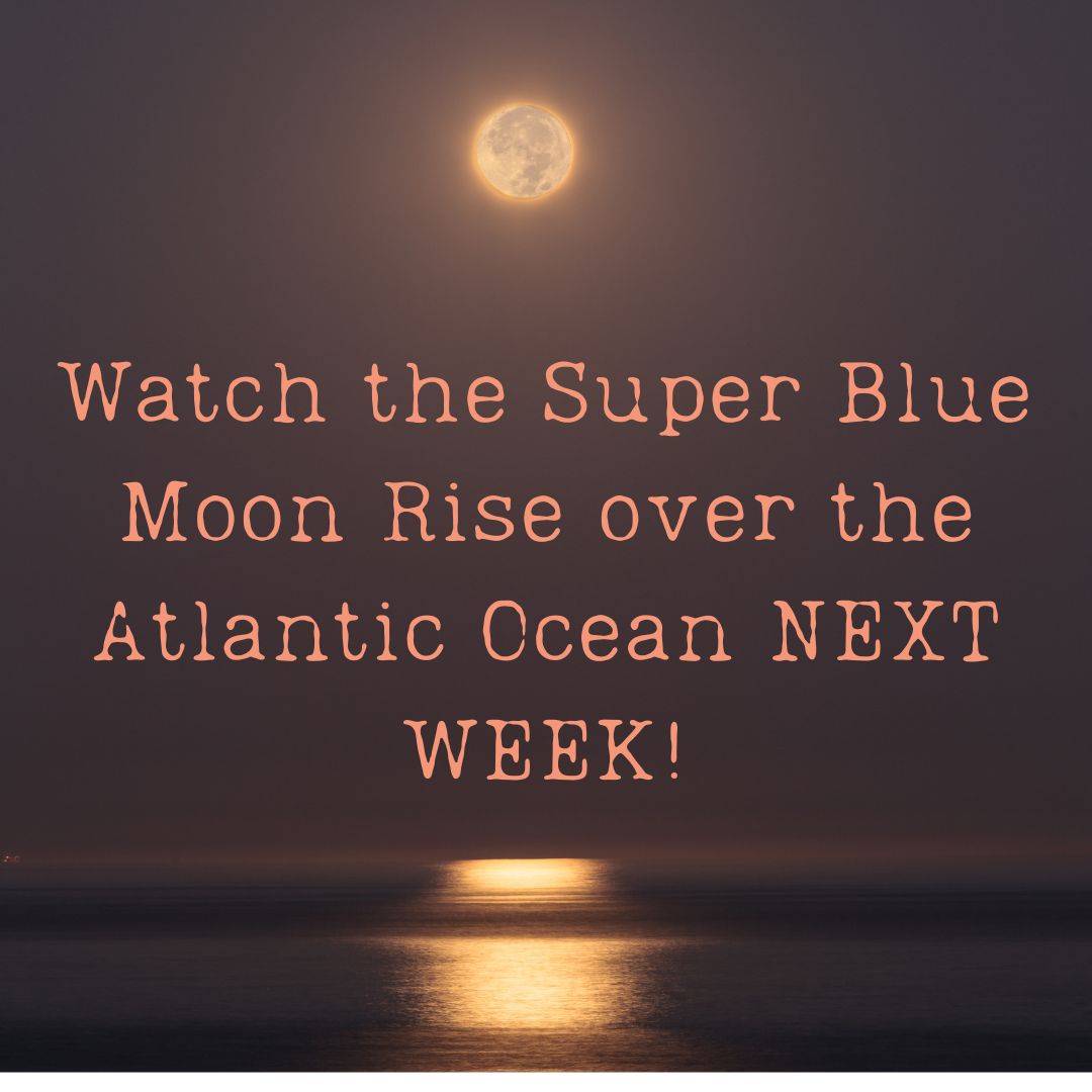 Experience the Magical moonrise of the Super Blue Moon August 30th ...