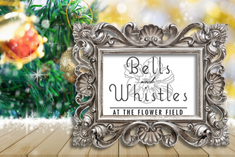 Bells and Whistles Bells and Whistles