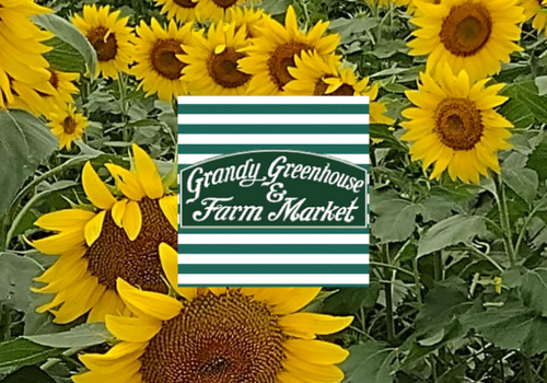 Grandy Farm Market Grandy Farm Market