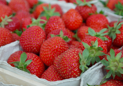 Pick Your Own Berries Pick Your Own Berries