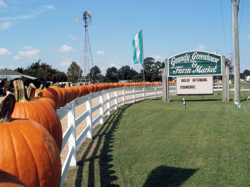 Grandy Greenhouse & Farm Market