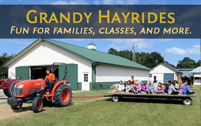 Grandy Hay Rides
