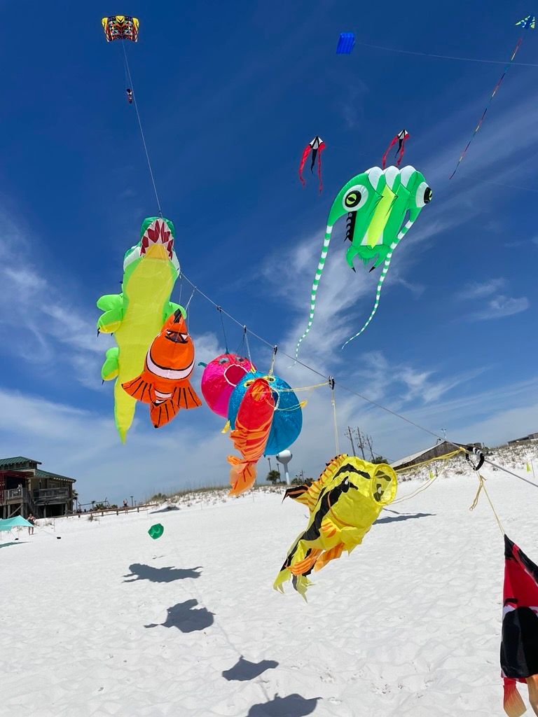 FLY INTO SPRING KITE FESTIVAL FLY INTO SPRING KITE FESTIVAL