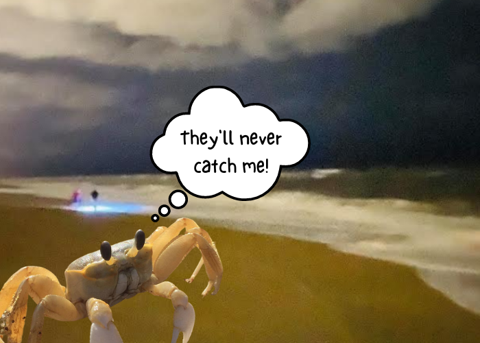 Ghost crabbing