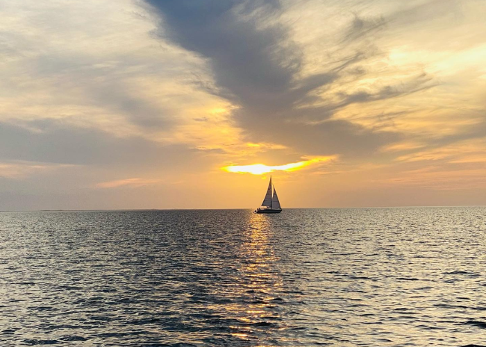 Sailboat Photo by Brandi McMahan