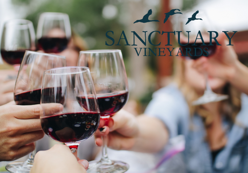 Sanctuary Vineyards