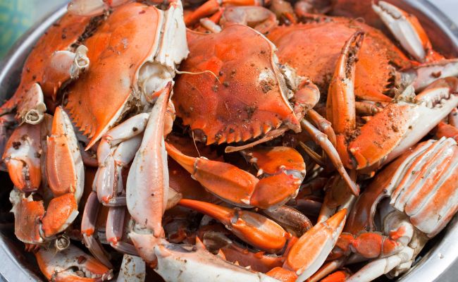 Outer Banks Crabs